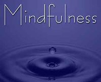 Qualifications. Mindfulness